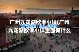 广州九龙湖欧洲小镇(广州九龙湖欧洲小镇里面有什么吃的)