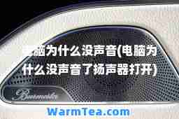 电脑为什么没声音(电脑为什么没声音了扬声器打开)