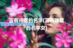 富有诗意的名字(富有诗意的名字女)