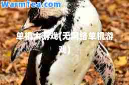 单机大游戏(无网络单机游戏)