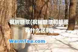 枫树糖浆(枫树糖浆和蜂蜜有什么区别)