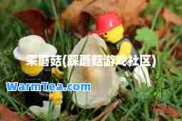 采蘑菇(踩蘑菇游戏社区)