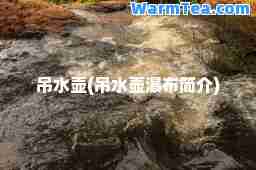 吊水壶(吊水壶瀑布简介)