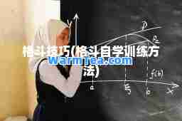 格斗技巧(格斗自学训练方法)