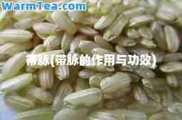 带脉(带脉的作用与功效)