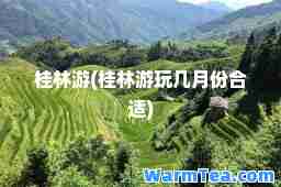 桂林游(桂林游玩几月份适)