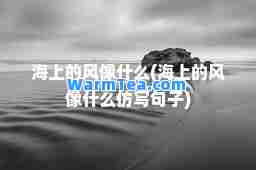 海上的风像什么(海上的风像什么仿写句子)