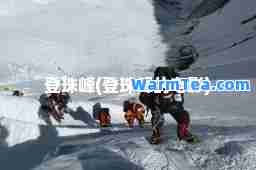 登珠峰(登珠峰的电影)