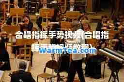 唱指挥手势视频(唱指挥手势视频教程)