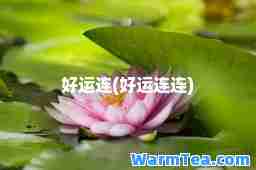 好运连(好运连连)