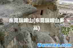 东莞旗峰山(东莞旗峰山多高)