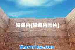 海柴角(海柴角图片)