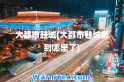 大都市鞋城(大都市鞋城搬到哪里了)