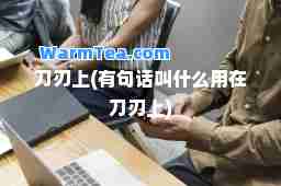 刀刃上(有句话叫什么用在刀刃上)