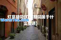 灯草胡同(灯草胡同属于什么街道)