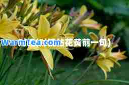 对镜(对镜帖花黄前一句)