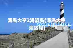 海岛大亨2海盗岛(海岛大亨 海盗窟)