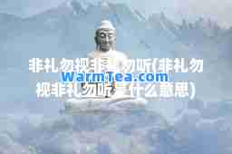 非礼勿视非礼勿听(非礼勿视非礼勿听是什么意思)