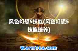 风色幻想5技能(风色幻想5技能培养)