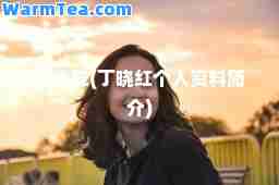 丁晓红(丁晓红个人资料简介)