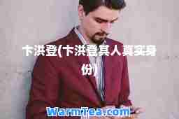 卞洪登(卞洪登其人真实身份)