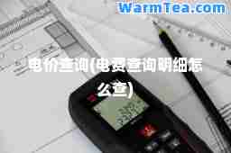 电价查询(电费查询明细怎么查)