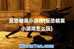 反恐精英小游戏(反恐精英小游戏怎么玩)