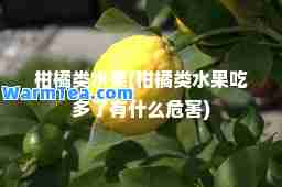 柑橘类水果(柑橘类水果吃多了有什么危害)