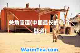 关角隧道(中国最长的10个隧道)