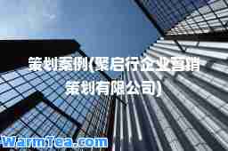 策划案例(聚启行企业营销策划有限公司)