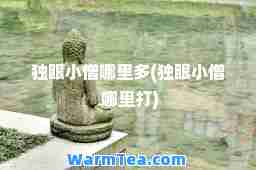 独眼小僧哪里多(独眼小僧 哪里打)