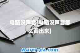 电脑没声音(电脑没声音怎么调出来)