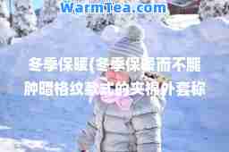 冬季保暖(冬季保暖而不臃肿暗格纹款式的夹棉外套称为)