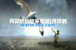 丹顶鹤的故事歌词(丹顶鹤的故事歌曲)