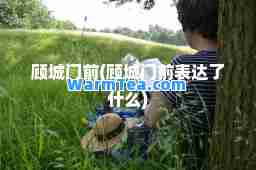 顾城门前(顾城门前表达了什么)