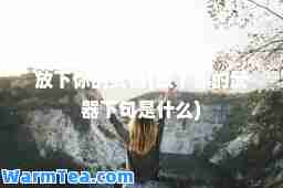 放下你的武器(放下你的武器下句是什么)