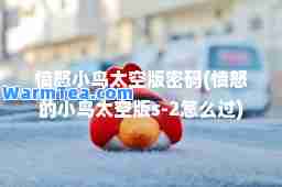 愤怒小鸟太空版密码(愤怒的小鸟太空版s-2怎么过)