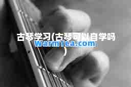 古琴学习(古琴可以自学吗)