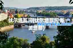 伏尔塔瓦河(伏尔塔瓦河 斯美塔那)