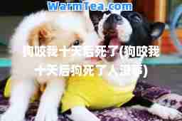 狗咬我十天后死了(狗咬我十天后狗死了人没事)