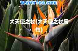 大天使之杖(大天使之杖属性)