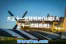 大正十一式轻机枪(战地5大正十一式轻机枪)