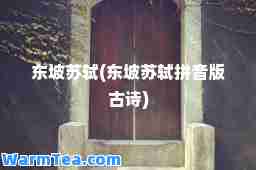东坡苏轼(东坡苏轼拼音版古诗)