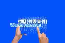 付呗(付呗支付)