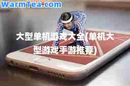 大型单机游戏大全(单机大型游戏手游)