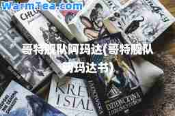 哥特舰队阿玛达(哥特舰队阿玛达书)