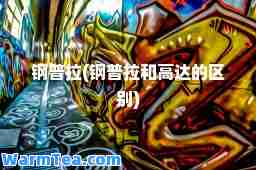 钢普拉(钢普拉和高达的区别)