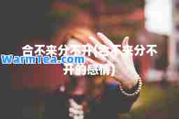 不来分不开(不来分不开的感情)