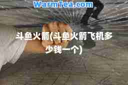 斗鱼火箭(斗鱼火箭飞机多少钱一个)