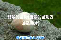 翡翠的鉴别(翡翠的鉴别方法及图片)